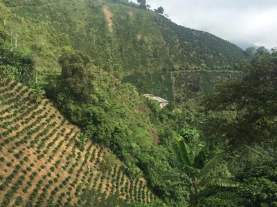 El Encanto